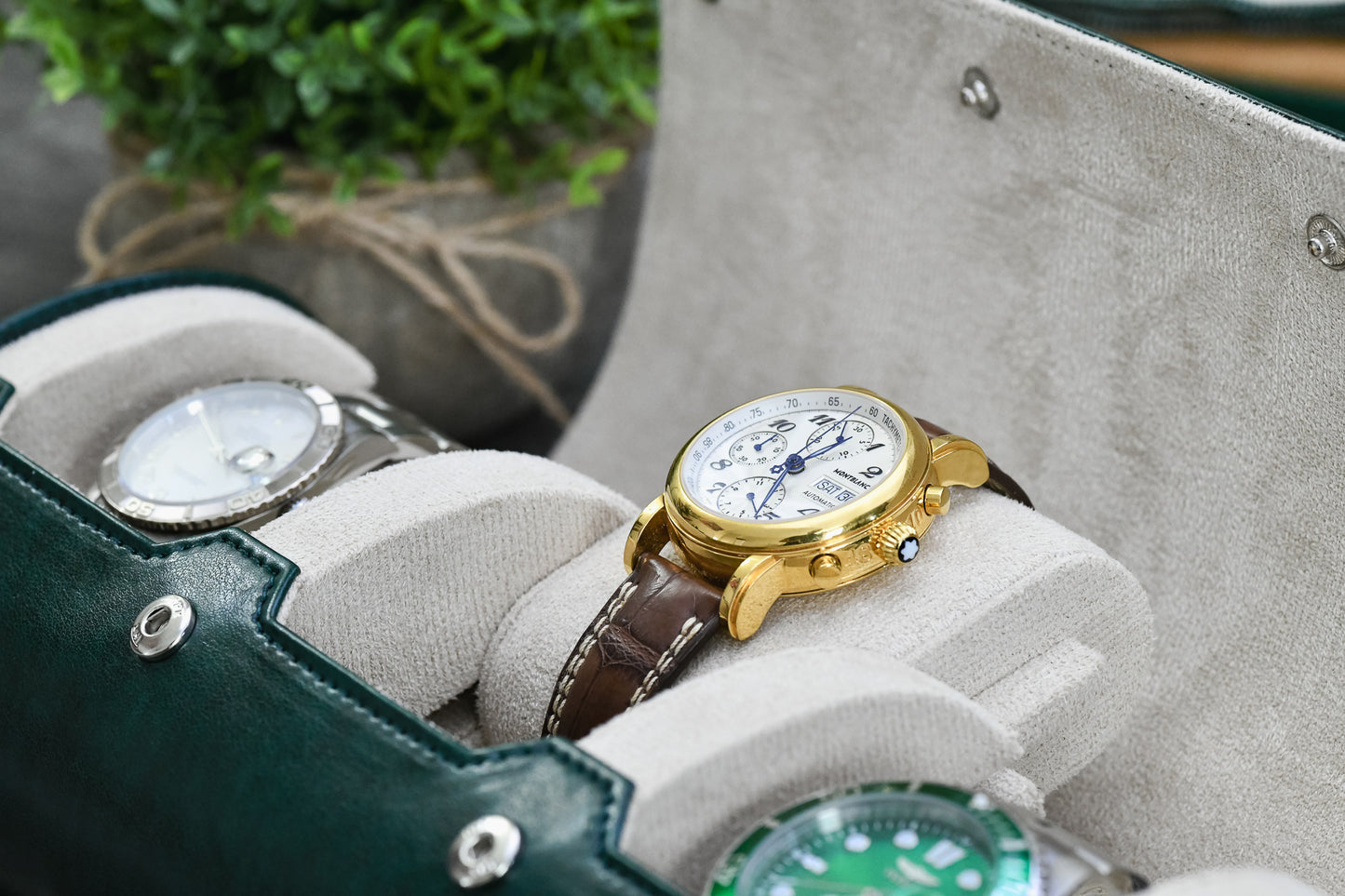 3 Watch Case - Royal Green (Ivory White)