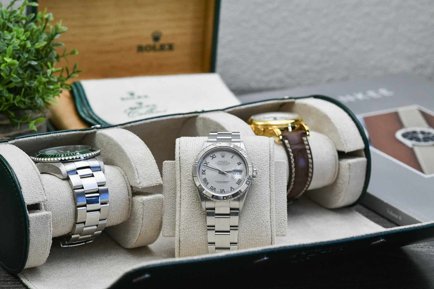 3 Watch Case - Royal Green (Ivory White)